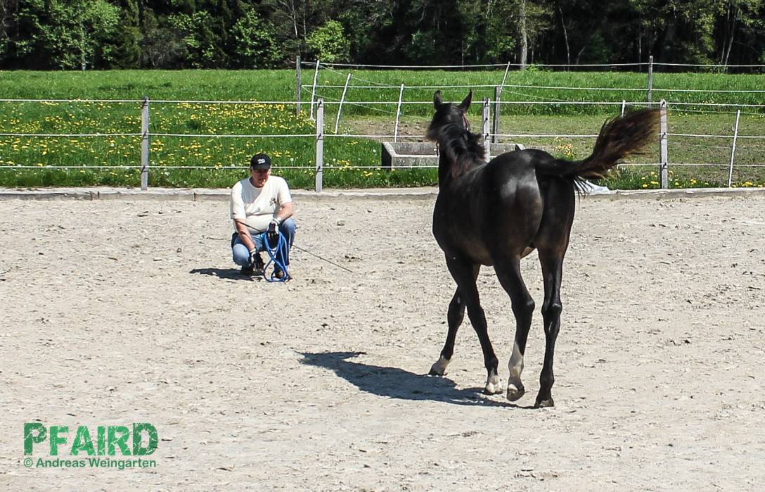 loewenherz-3722.jpg loewenherz-3722.jpg