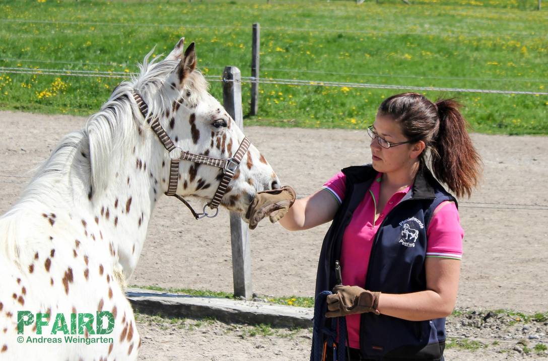 platini-3839.jpg platini-3839.jpg