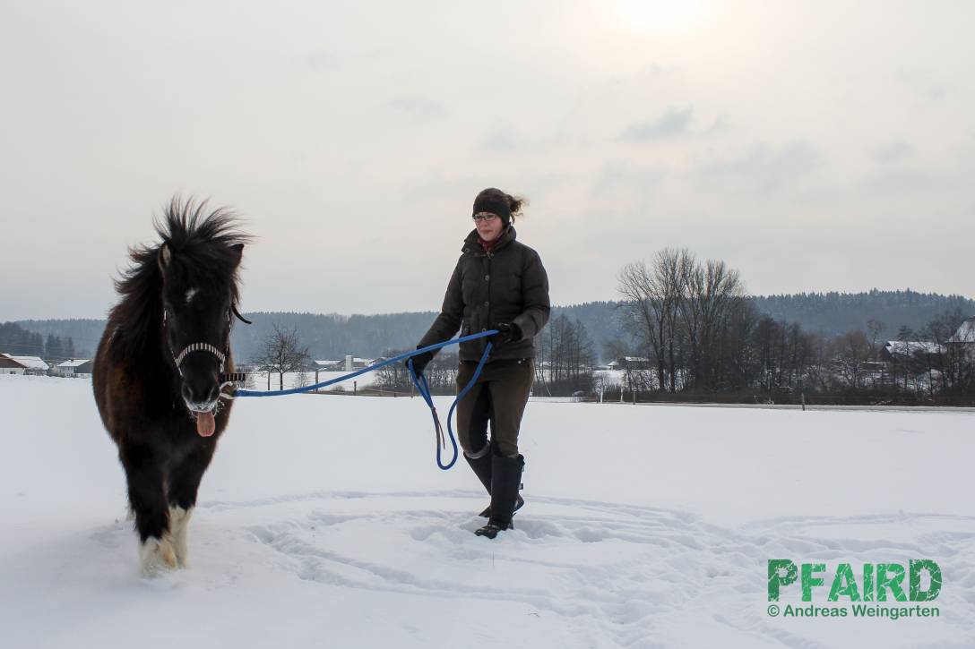 schule-4533.jpg schule-4533.jpg