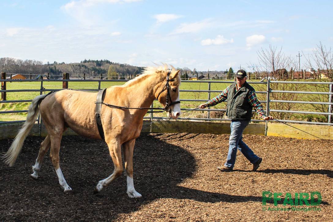 schule-063.jpg schule-063.jpg