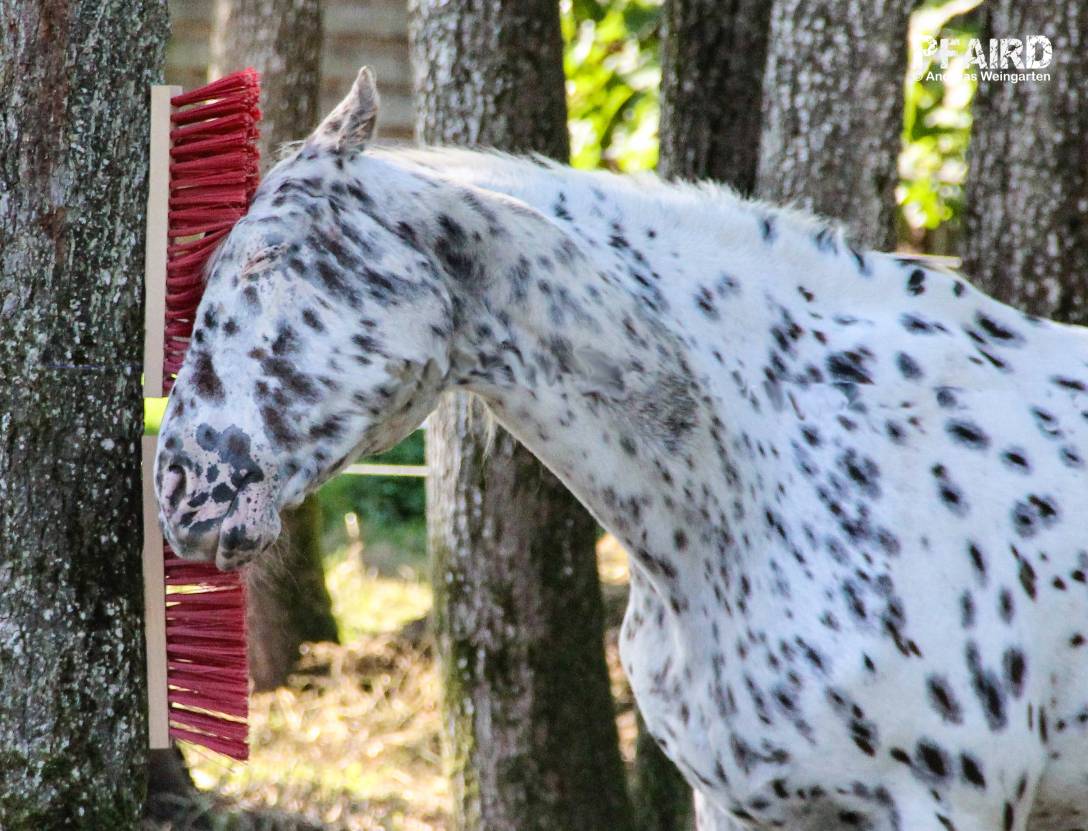 redl-7645-2.jpg redl-7645-2.jpg