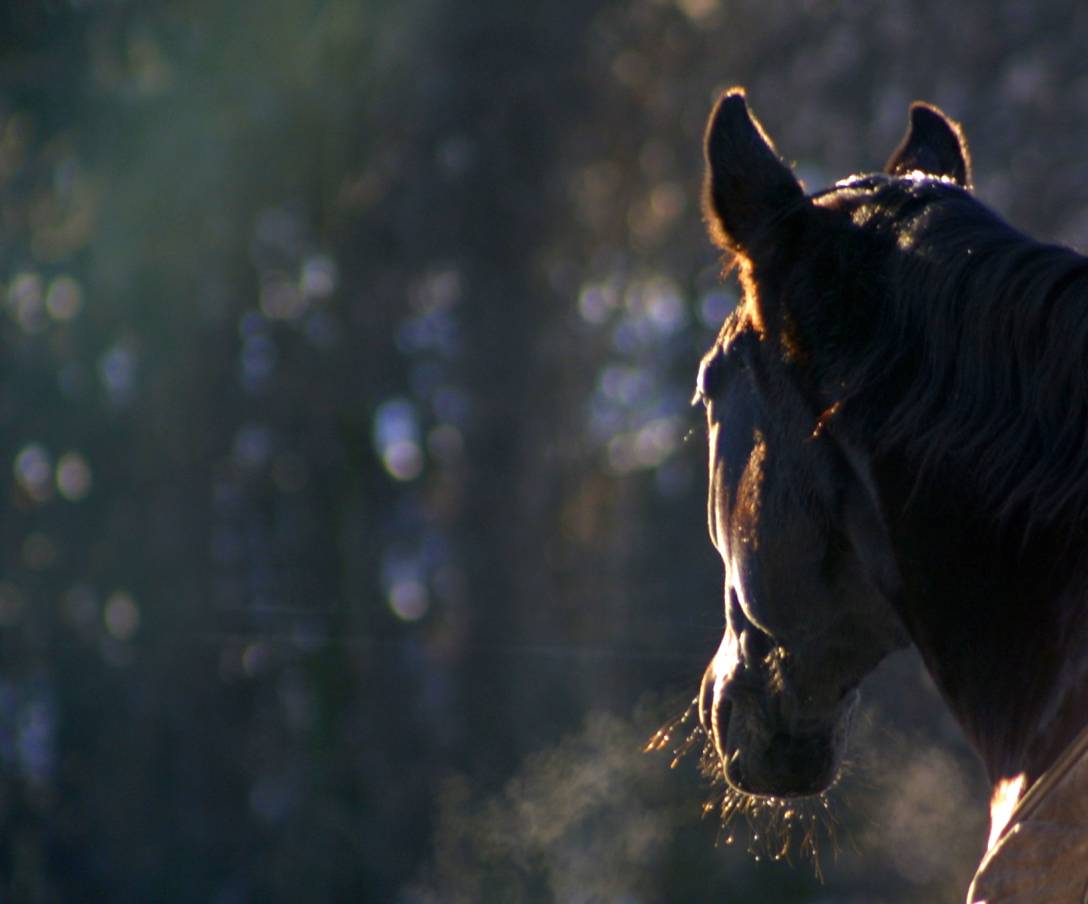 wyoming20012006.jpg wyoming20012006.jpg