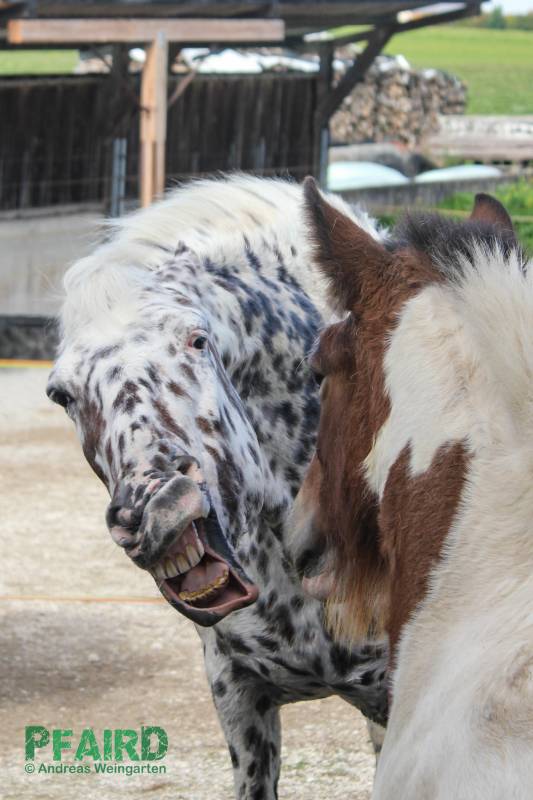 samira-8448.jpg samira-8448.jpg