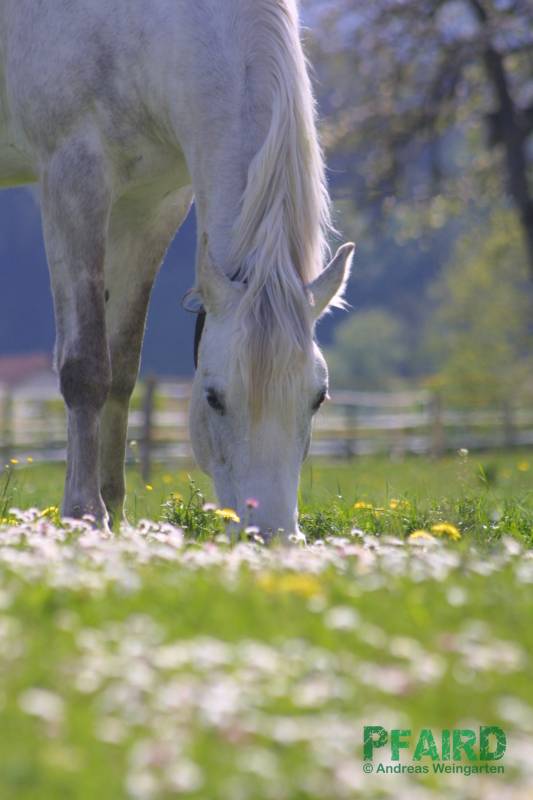 schule-001-1.jpg schule-001-1.jpg