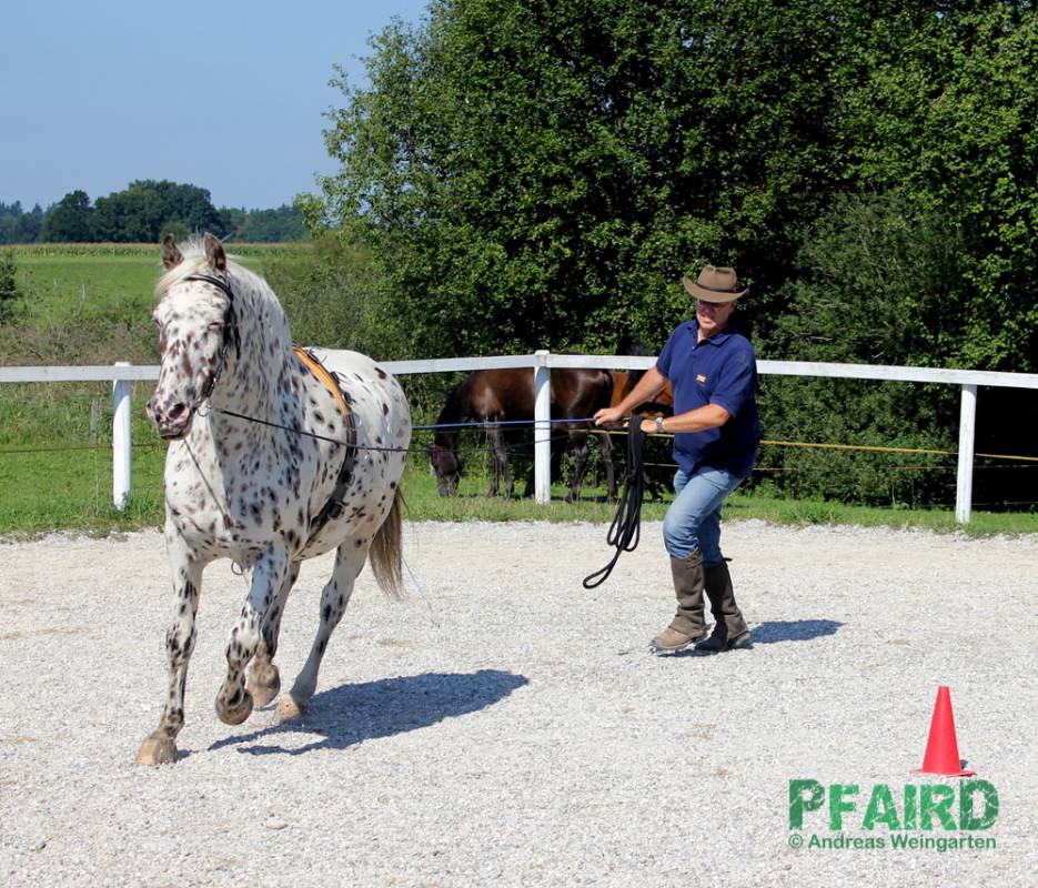 andreas-.jpg andreas-.jpg